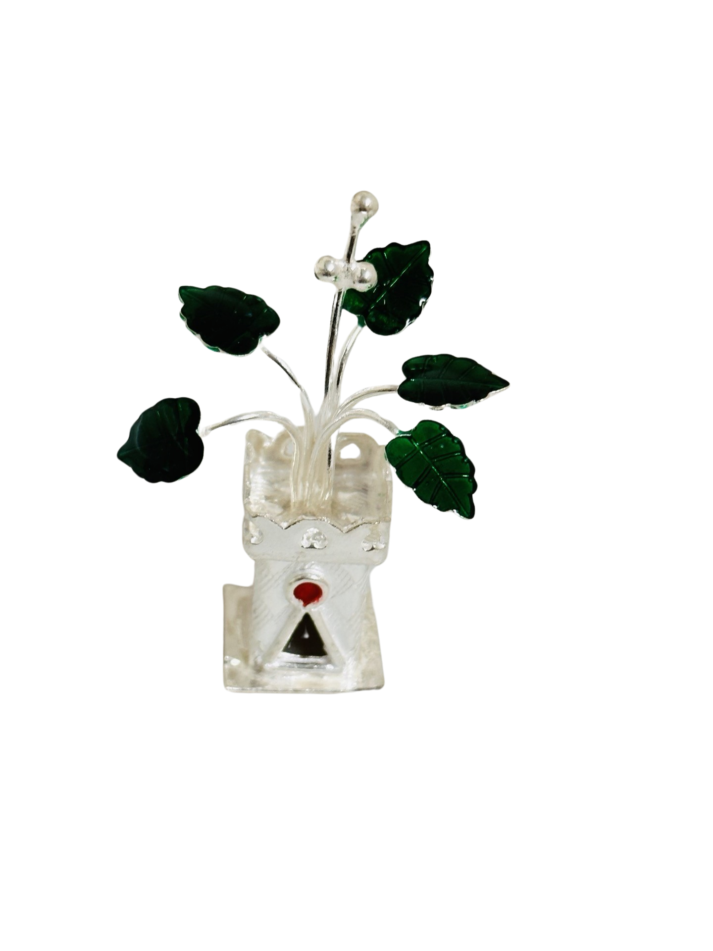 Silver Tulsi Plant 2 Inches