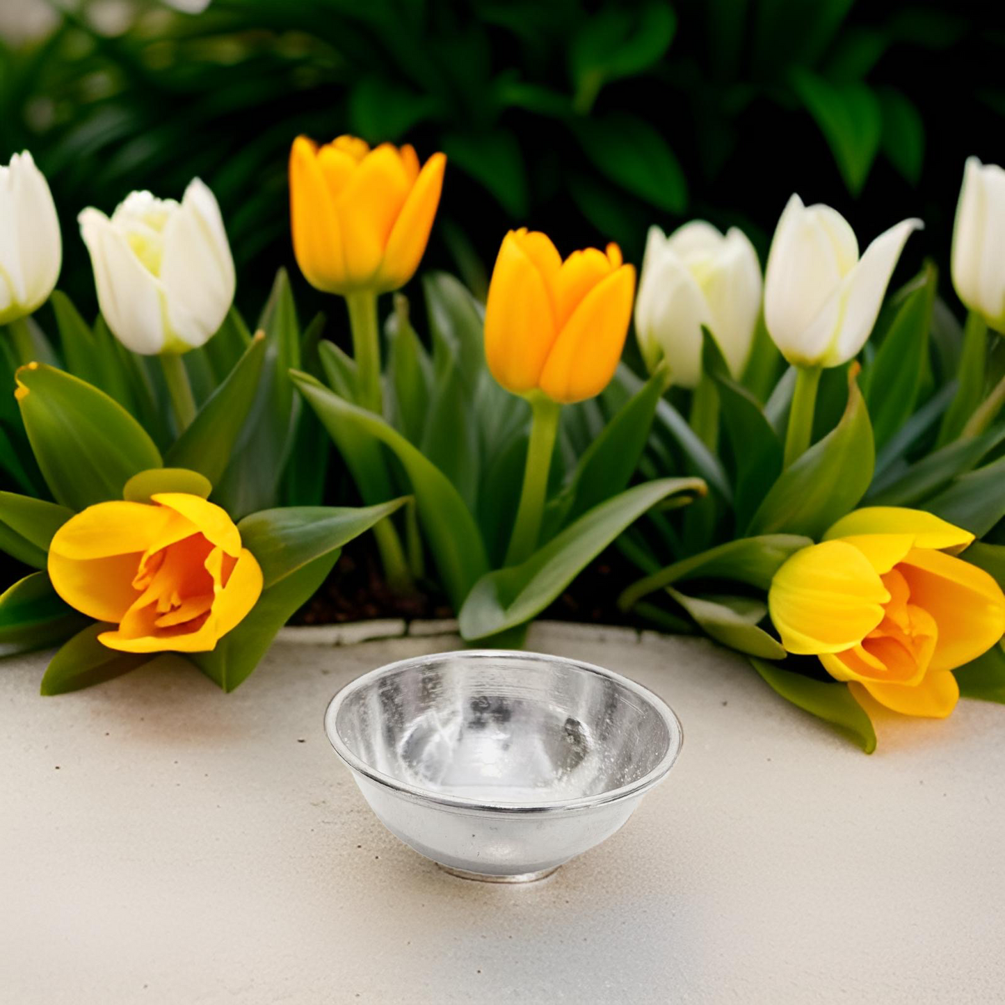 925 Silver Plain Small Bowl