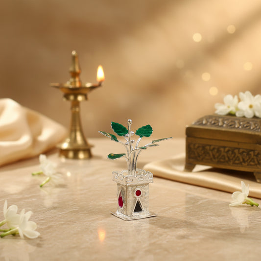 Silver Ruby Kundan Tulsi Plant 2 inches