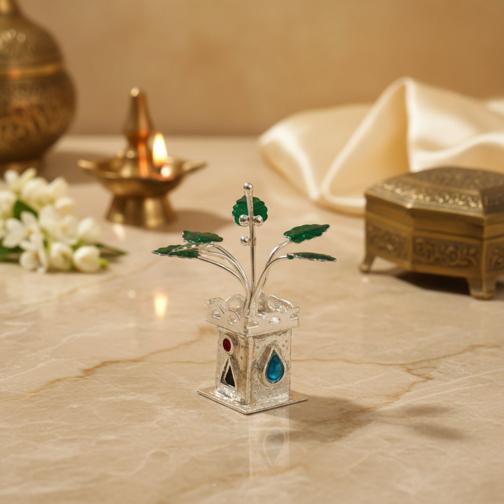 Silver Teal Kundan Tulsi Plant- 2 inches