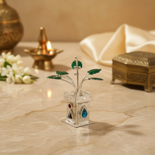 Silver Teal Kundan Tulsi Plant- 2 inches
